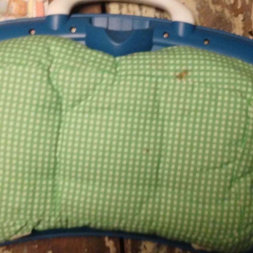 Little touch leap pad + tote bag + more